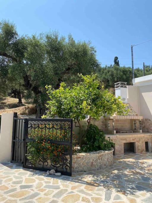 Villa Antonia 阿利卡纳斯 外观 照片
