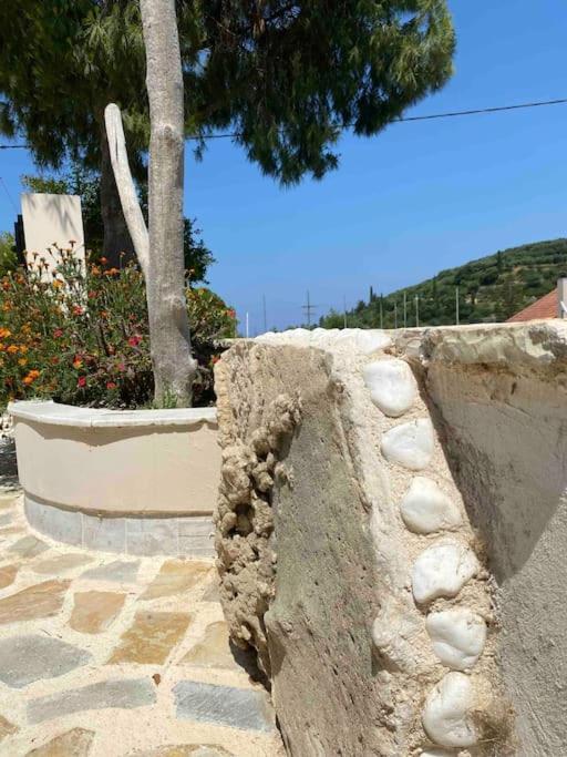 Villa Antonia 阿利卡纳斯 外观 照片